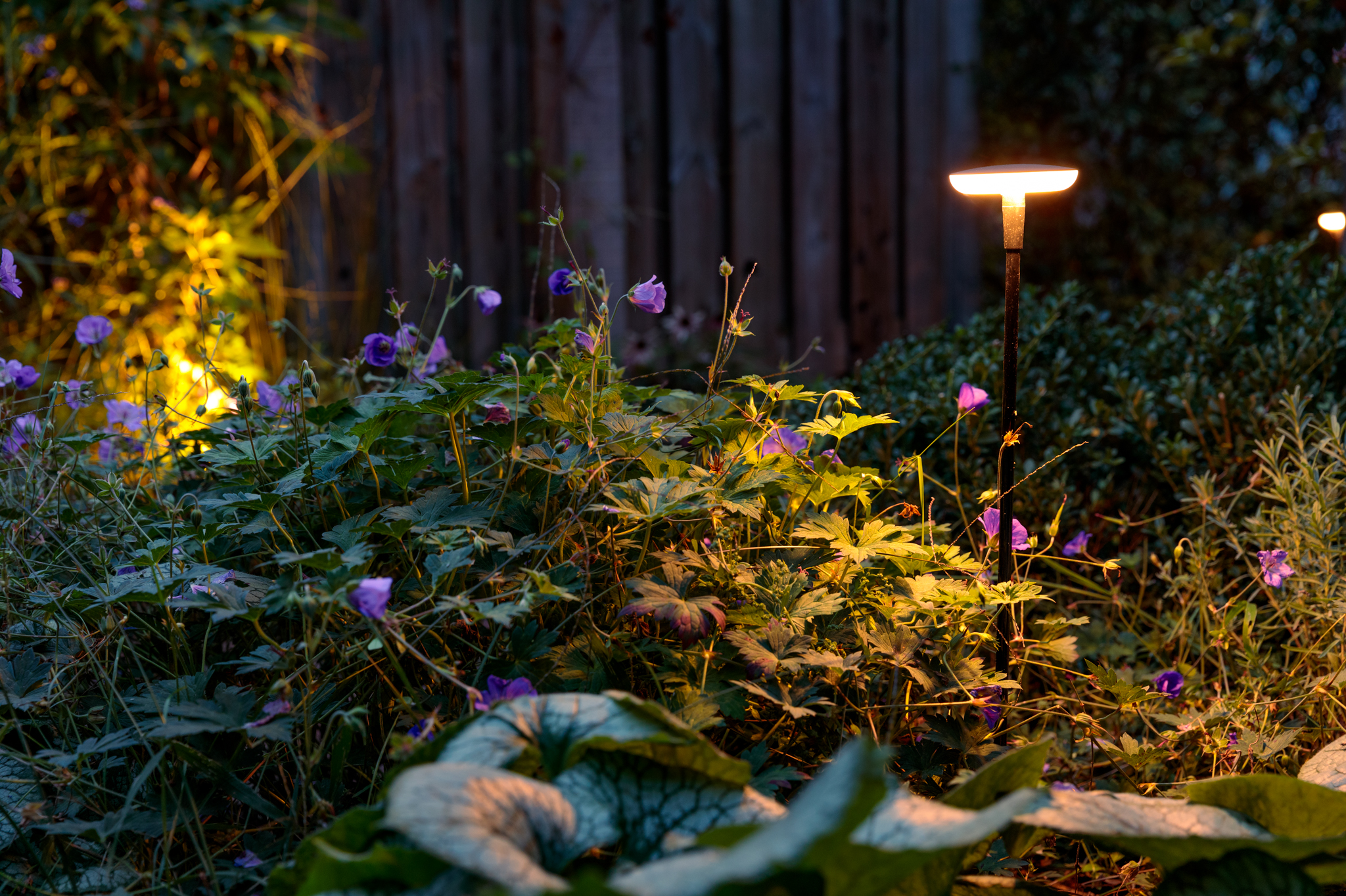 Droomtuin in Ede_1