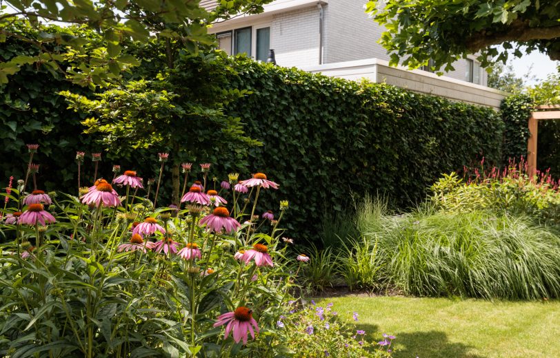 Tuinarchitect Veenendaal - Droomtuynen